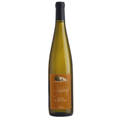 Riesling Via Saint-Jacques